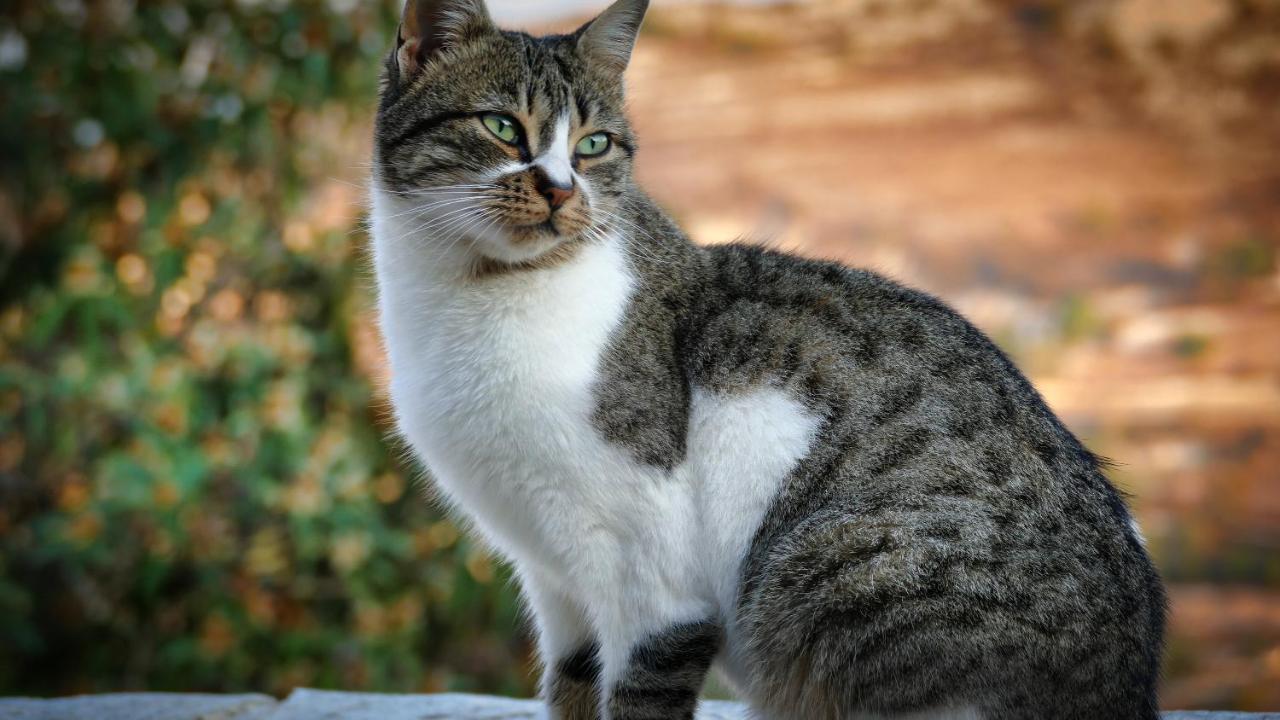 Willa Haven Limassol Zewnętrze zdjęcie